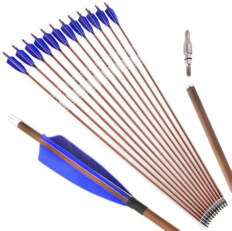 Amazon ZSHJGJR 31 Archery Carbon Arrows Spine 340 400 500 600