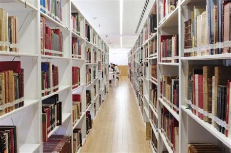 Bibliotecas P Blicas Que Puedes Visitar En El Centro Hist Rico De