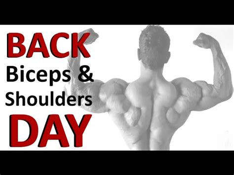 Biceps And Back Workout Day Eoua Blog