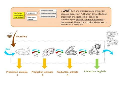 D Finition De Laquaponie Clarifier Le Concept