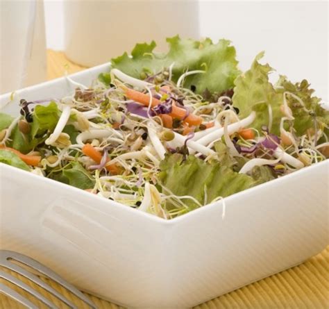 Receta De Ensalada De Brotes De Soja Germinadosdelebro Es