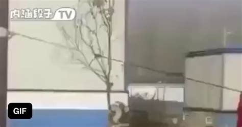 Straight To Horny Jail Gag