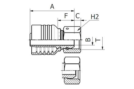 Bsp Female Cone Slip On Nut Crimped One Piece Fittings