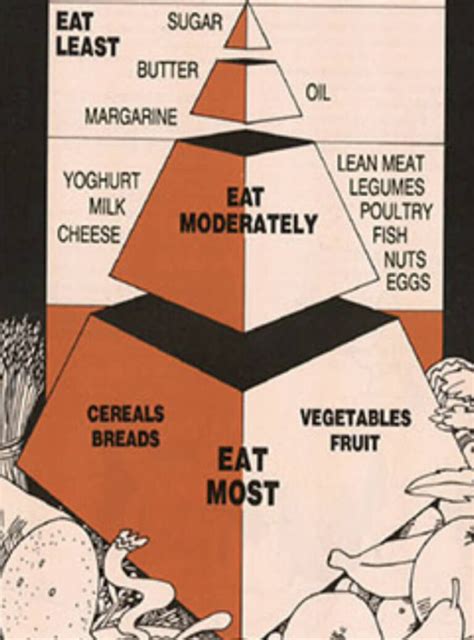 Is the Healthy Eating Pyramid Still Relevant in 2024? | MealPrep