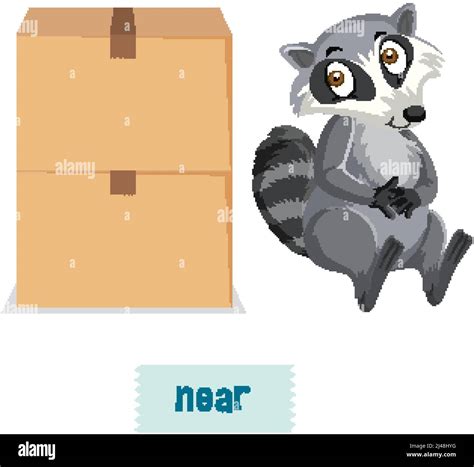 English Prepositions With Raccoons Sitting Near Box Illustration Stock Vector Image And Art Alamy