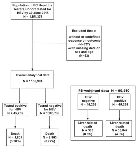 Viruses Free Full Text Impact Of Hepatitis B Virus Infection Non