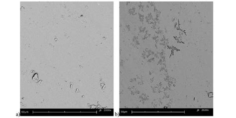 Sem Pictures Of Cellulose Triacetate Matrix A Pure Cta B Pure Cta