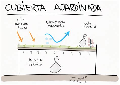 Cubiertas Ajardinadas Soluci N Sostenible Purificaci N Y