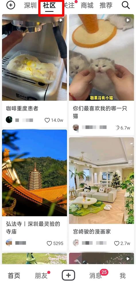 为赚钱发愁的小红书，开始做社交联商网