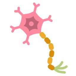 Neuron Special Bicolor Icon