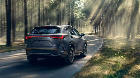 2024 Lexus Nx Phev Cruising Lexus Of Jacksonville