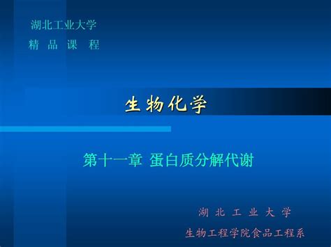 第十一章蛋白质分解代谢word文档在线阅读与下载无忧文档