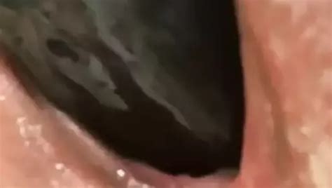 Baby Cunny Porn Creator Videos Free Amateur Nudes Xhamster