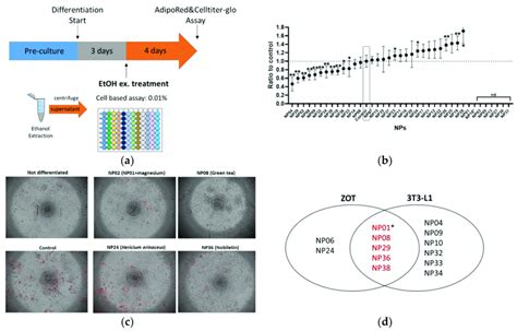 Mouse 3T3 L1 Preadipocyte Differentiation Assay Identified Ten