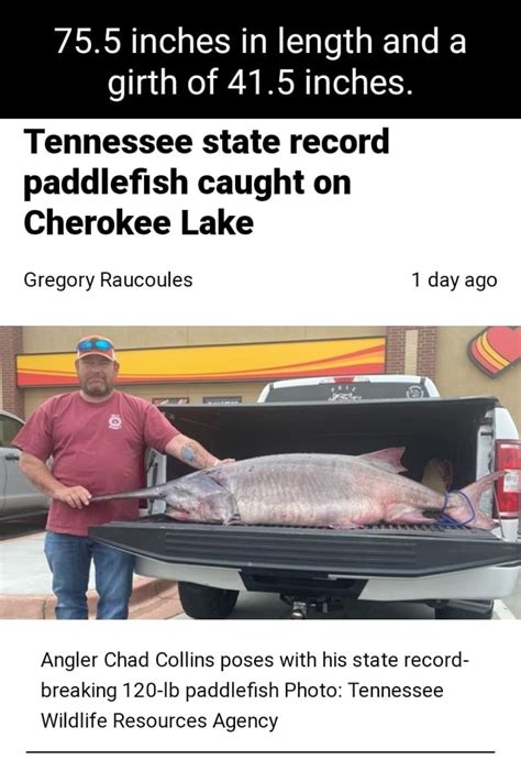 755 Inches In Length And A Girth Of 415 Inches Tennessee State