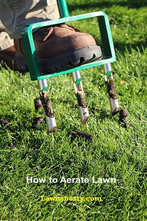 Aerating helps in chanelling important supplies to the grass roots, including nutrients, water ...