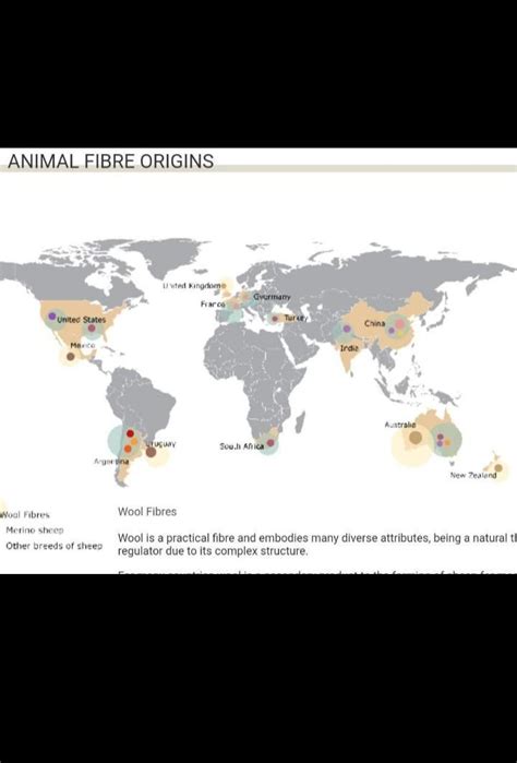 Procure Outline Maps Of India And The World Find Out And Mark The