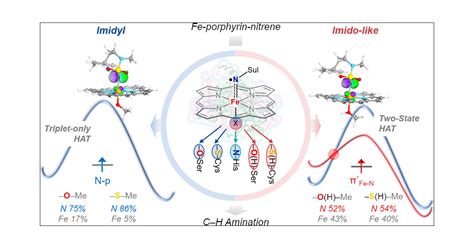 How Axial Coordination Regulates The Electronic Structure And Ch