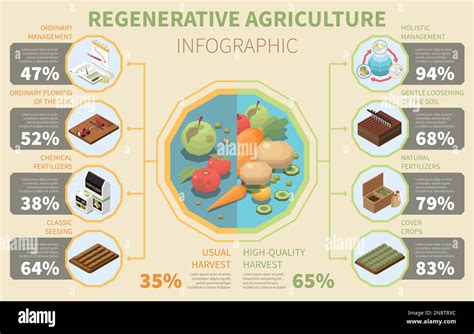 Infografías de agricultura regenerativa con frutas y verduras orgánicas