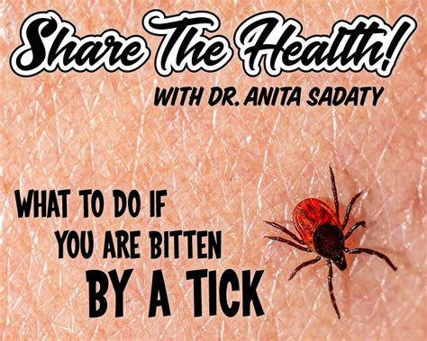 What To Do If You Are Bitten By A Tick Dr Sadaty Gynecology