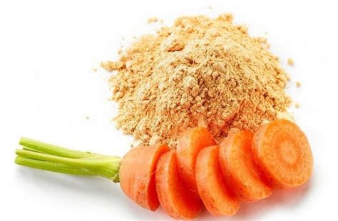 Orange Dehydrated Carrot Powder At Best Price In Surat Id