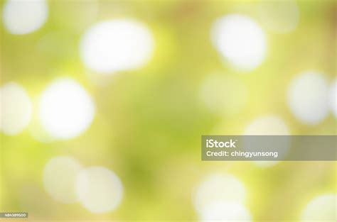 Abstract Nature Green Blurred Background Stock Photo Download Image