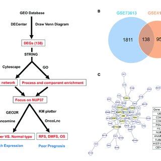 Gene Screening And Identification Of The Hub Gene A Illustrates