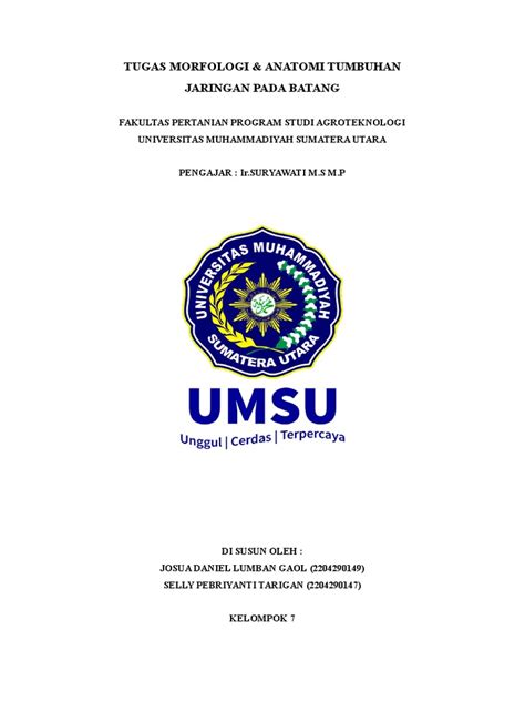 Jaringan Pada Batang 110528 Pdf