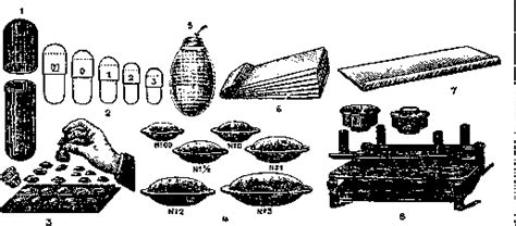 Capsula Interna