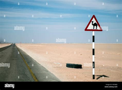Camel Warning Sign Desert Highway In Dhofar Salalah Oman The Middle