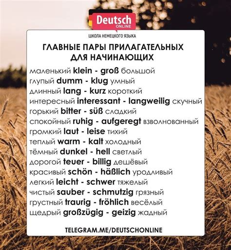 Прилагательные в немецком. Главные пары прилагательных. #немецкийязык # ...