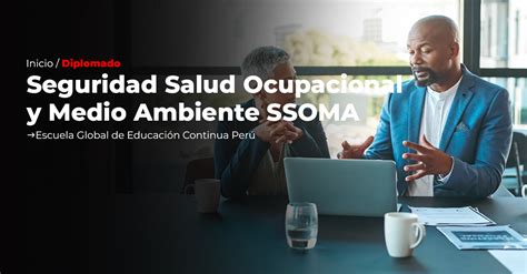 Diplomado Y Curso En Ssoma Seguridad Salud Ocupacional Y Medio Ambiente