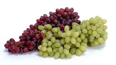 Grape and Raisin Toxicity in Pets | Common Pet Toxins