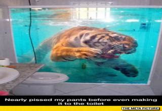 32 Funny Ass Photos To Get The Weekend Started Funny Gallery EBaum S World