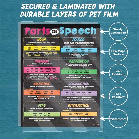 Buy Decorably Parts Of Speech Poster 17x22in Laminated Parts Of