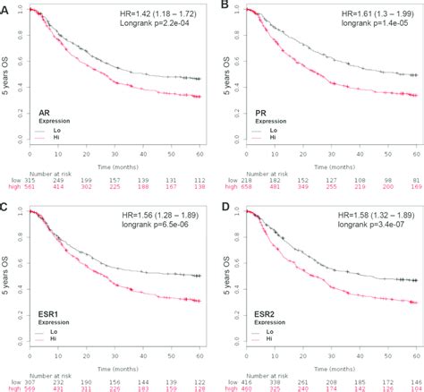 Km Plotter Evaluation Of Sex Hormone Nuclear Receptors Including Ar