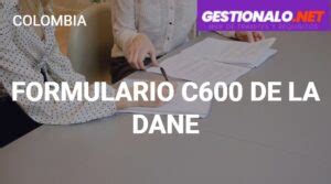 Formulario C De La Dane C Mo Es Llenado Y M S