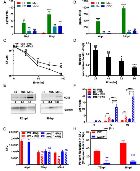 Figure 1 From Mycobacterium Tuberculosis Inhibits Autocrine Type I IFN