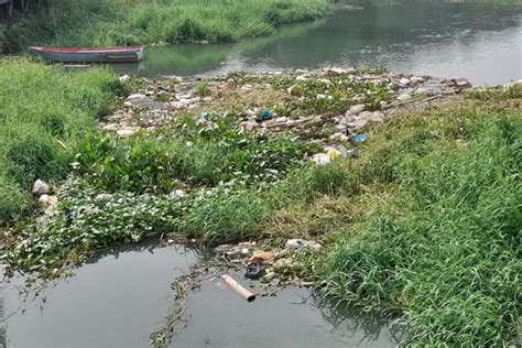 Aliran Sungai Karang Mumus Di Sempaja Yang Memprihatinkan Banyaknya