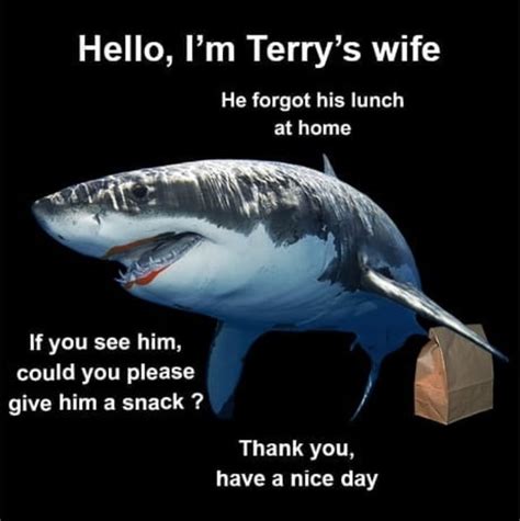 Has anyone seen terry? : r/memes