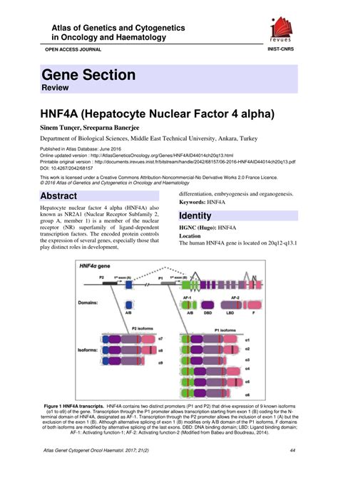 Pdf Hnf A Hepatocyte Nuclear Factor Alpha