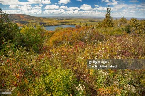 Jordan Pond Acadia National Park High-Res Stock Photo - Getty Images