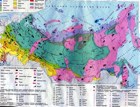 Растительность России Карта - 66 фото