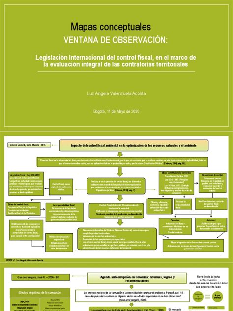 Mapas Conceptuales Ajustados Pdf Corrupción Política Derechos Humanos