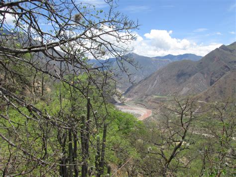 Bosques Secos De Latinoam Rica Y El Caribe En Peligro De Desaparecer