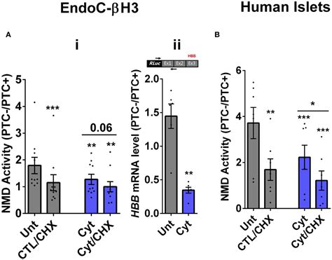 Frontiers Proinflammatory Cytokines Suppress Nonsense Mediated RNA