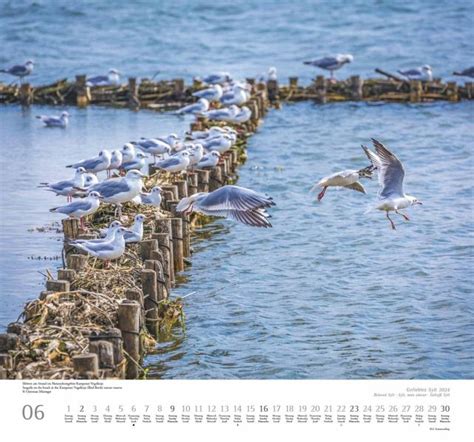 Geliebtes Sylt Dumont Wandkalender Mit Den Wichtigsten