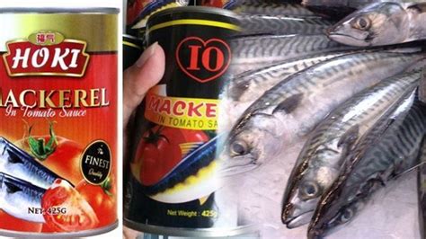 Anda Juga Perlu Tahu Beda Ikan Sarden Dan Makarelcermati Hal Ini
