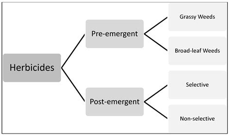 Modes Of Action Of Different Classes Of Herbicides Intechopen