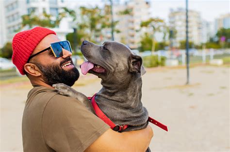 Man walking with dog | Free Stock Image - Barnimages